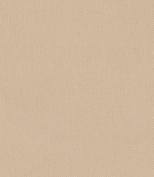 Oxford FR Fabric / Butter