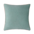 Meridian Mineral / Blush Velvet Cushion