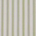 JF Ticking Fabric / Sage