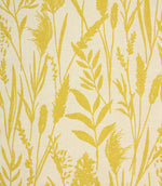 Traditional - Wild Grasses