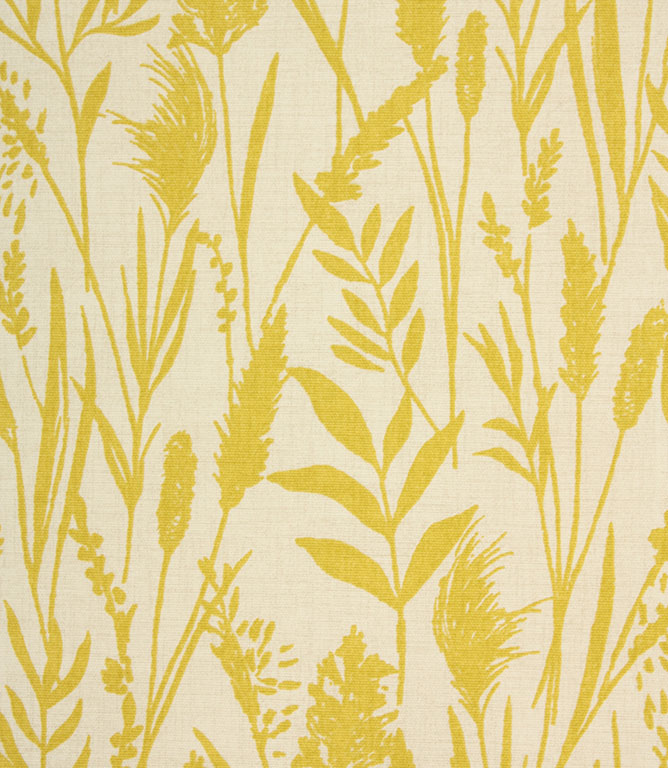 Traditional - Wild Grasses