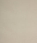 Cotswold Velvet FR Fabric / Silver - Just Fabrics