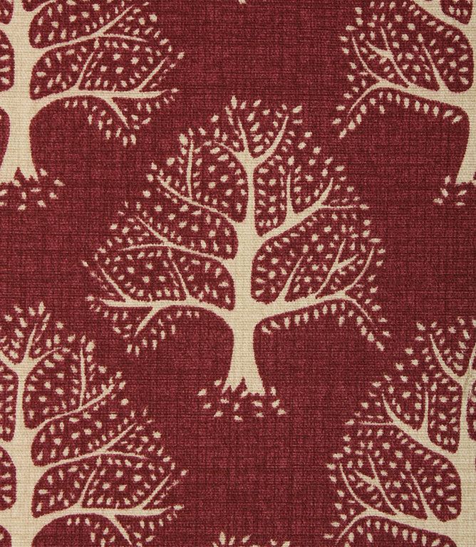 Contemporary - Great Oak