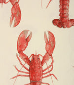 Crayfish Fabric / Red - Just Fabrics