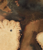 Blaise Fabric / Sand - Just Fabrics