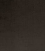 Adley FR Velvet Fabric / Charcoal - Just Fabrics