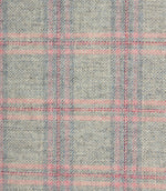 Checks / Stripes - Newton