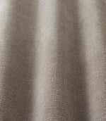 Plains / Semi Plains - Whisper