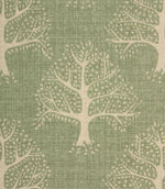 Contemporary - Great Oak