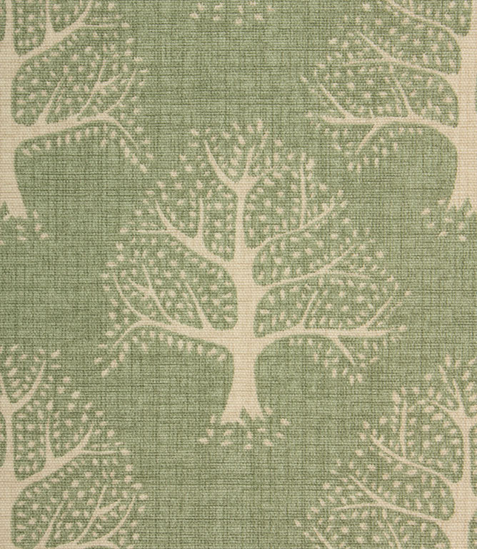 Contemporary - Great Oak