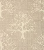 Contemporary - Great Oak