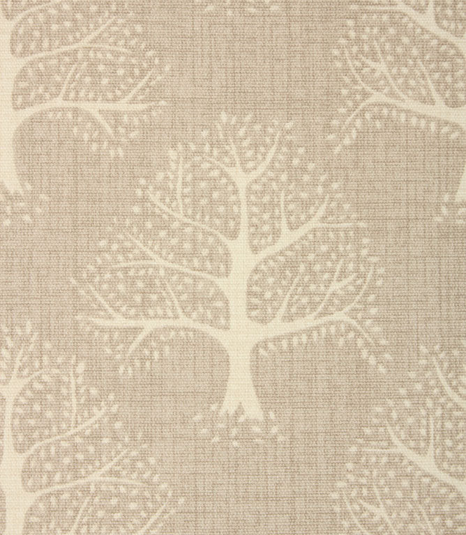 Contemporary - Great Oak