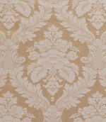 Montacote Damask Fabric / Champagne - Just Fabrics