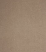 Cotswold Velvet FR Fabric / Fog - Just Fabrics