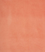 Plains / Semi Plains - Cosy Velvet FR