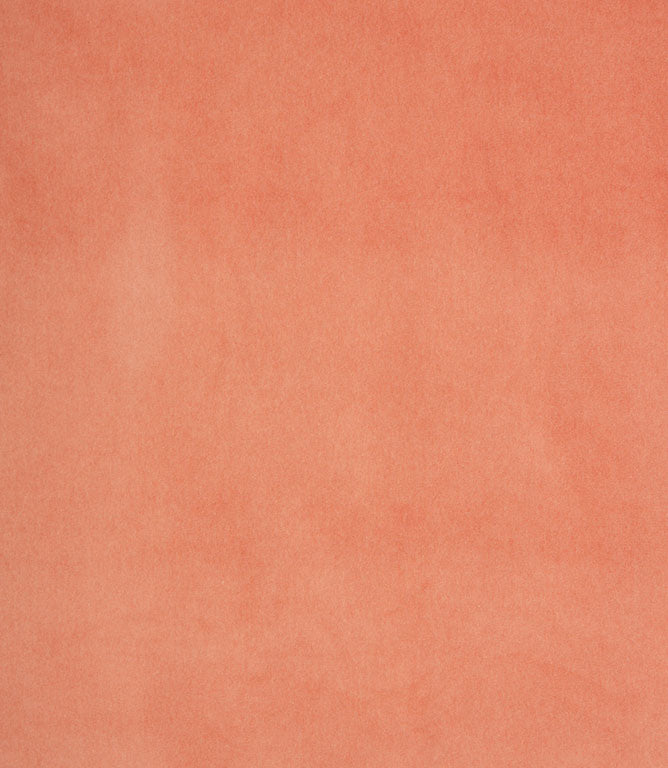 Plains / Semi Plains - Cosy Velvet FR