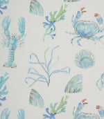 Oceanic Treasures Outdoor Fabric / Aqua - Just Fabrics