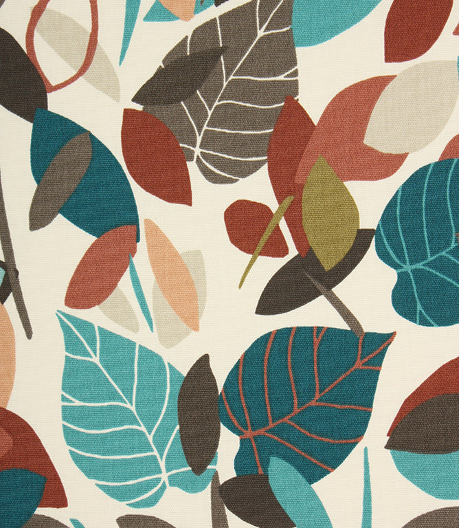 Contemporary - Botaniska Spruce