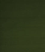 Cotswold Velvet FR Fabric / Conifer - Just Fabrics