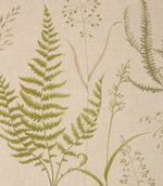 Botanica Fabric / Willow - Just Fabrics