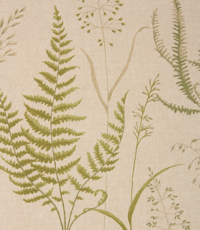 Botanica Fabric / Willow - Just Fabrics