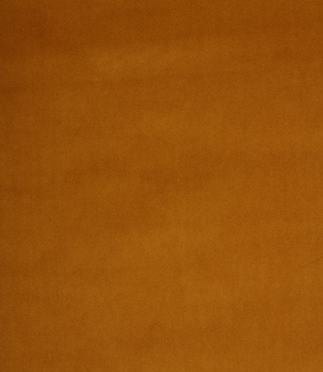 Amalfi Velvet FR Fabric / Gold - Just Fabrics
