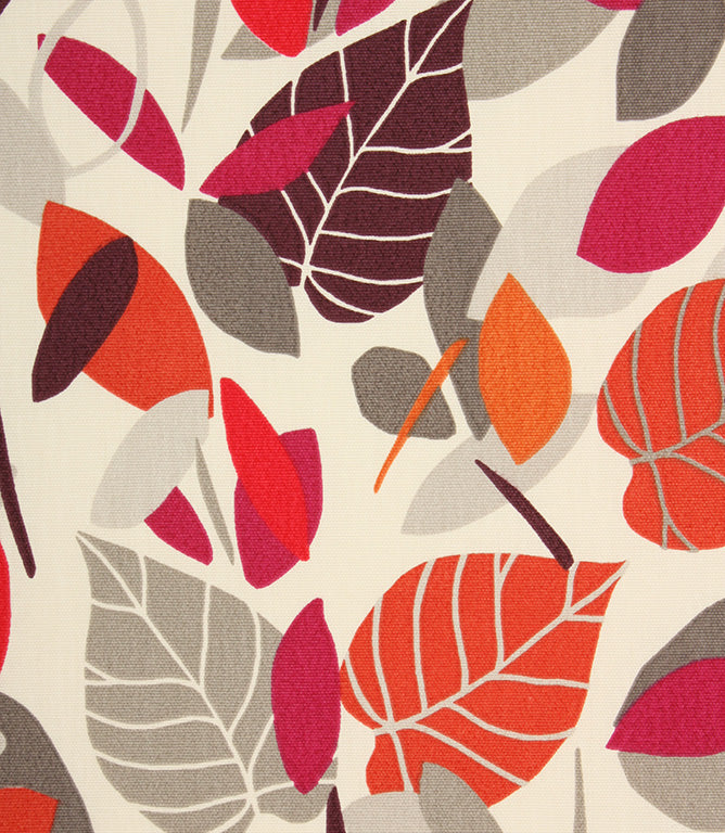 Contemporary - Botaniska Spruce