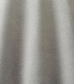 Plains / Semi Plains - Whisper