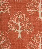 Contemporary - Great Oak