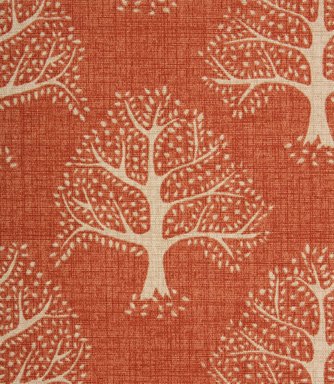Contemporary - Great Oak