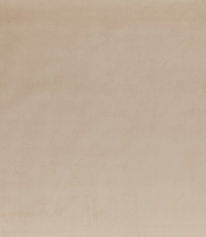 Adley FR Velvet Fabric / Almond - Just Fabrics