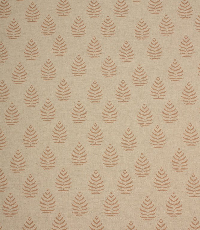 Contemporary - Fernlow