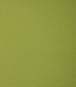 Dartmouth Outdoor Fabric / Sage - Just Fabrics