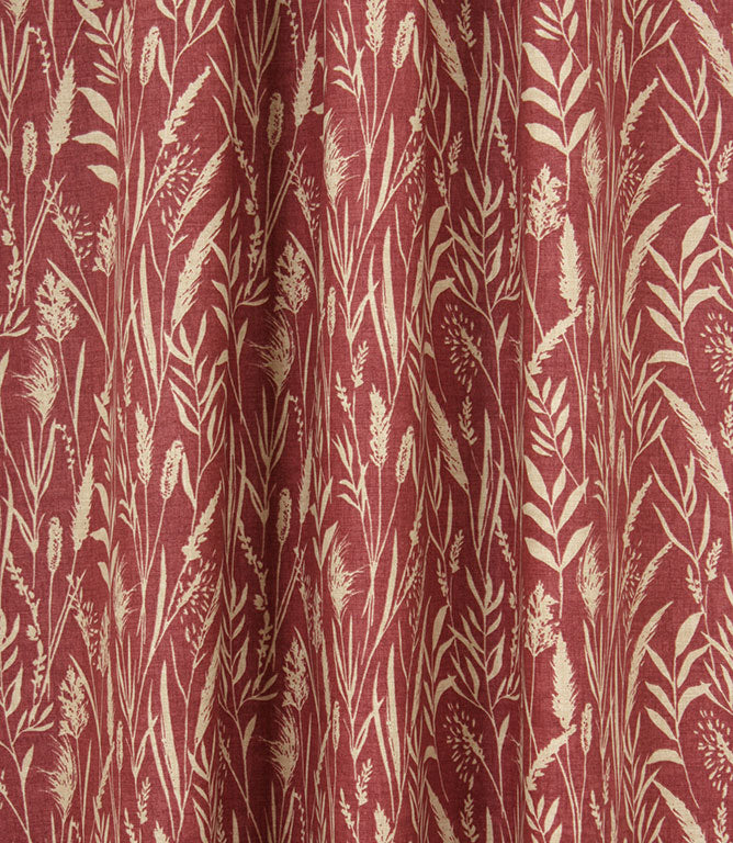 Traditional - Wild Grasses