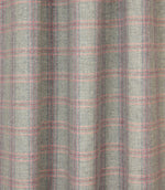 Checks / Stripes - Newton