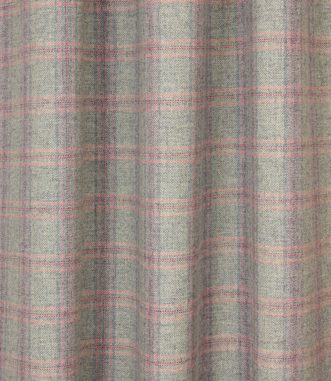 Checks / Stripes - Newton