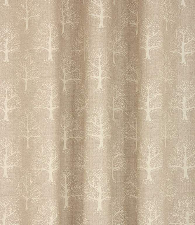 Contemporary - Great Oak