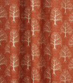 Contemporary - Great Oak