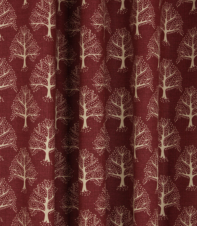 Contemporary - Great Oak