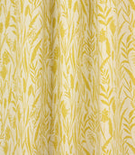 Traditional - Wild Grasses