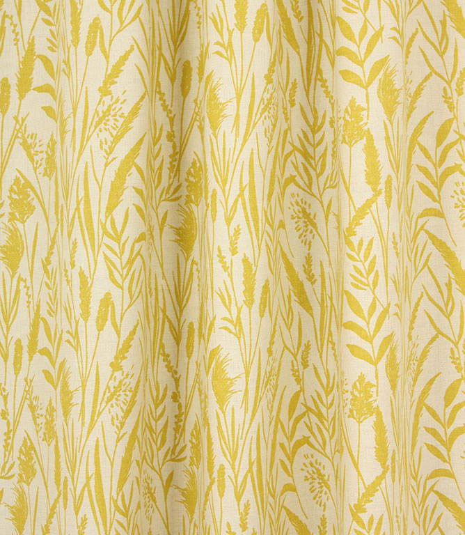 Traditional - Wild Grasses