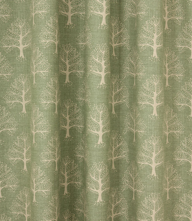 Contemporary - Great Oak