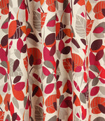 Contemporary - Botaniska Spruce