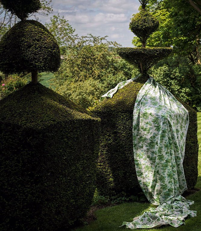 Hedera Fabric / Green - Just Fabrics