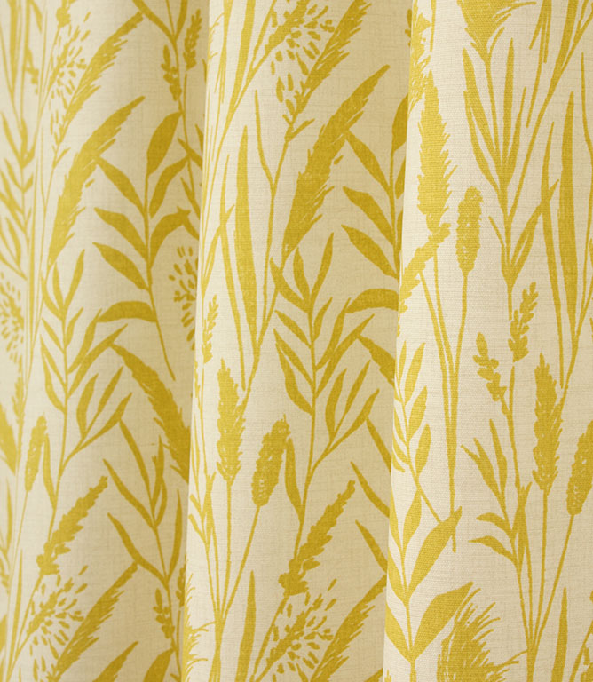 Traditional - Wild Grasses