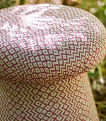 Cheslyn Fabric / Claret / Cream - Just Fabrics