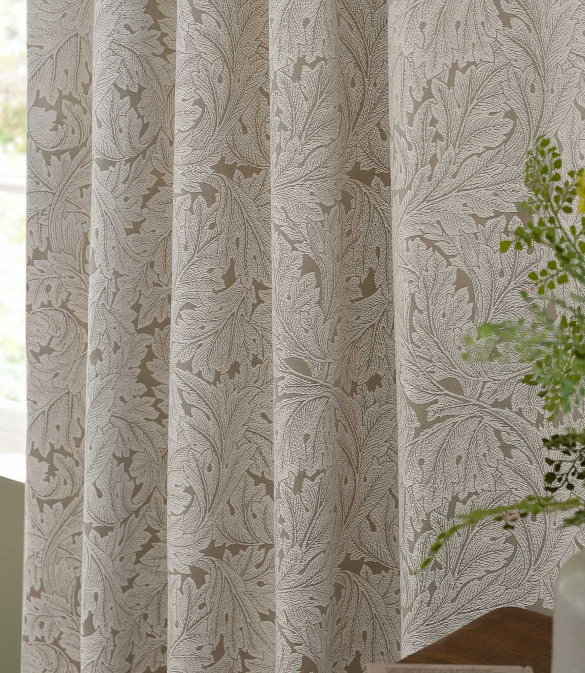 Close-up of Morris & Co Acanthus jacquard curtain fabric in cream and warm beige, showing the large-scale scrolling acanthus leaf design beside a green fern.