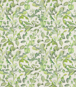 Claudia Fabric / Cream