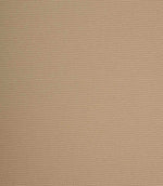 Warm beige plain weave fabric with a subtle texture and even, consistent finish.