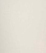 Soft ivory fabric shown in close-up with a fine, smooth woven texture and subtle matte finish.